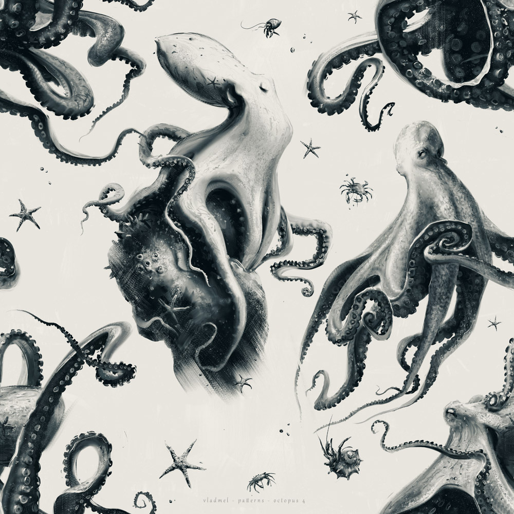 Pattern – octopus 4