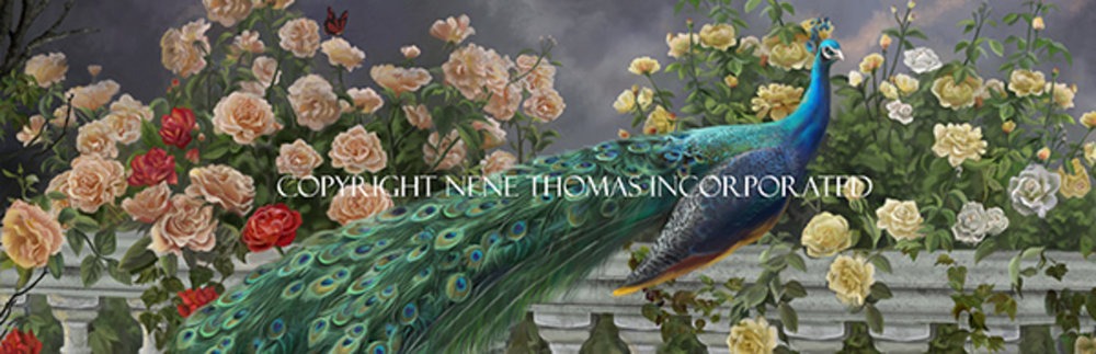 peacock and roses