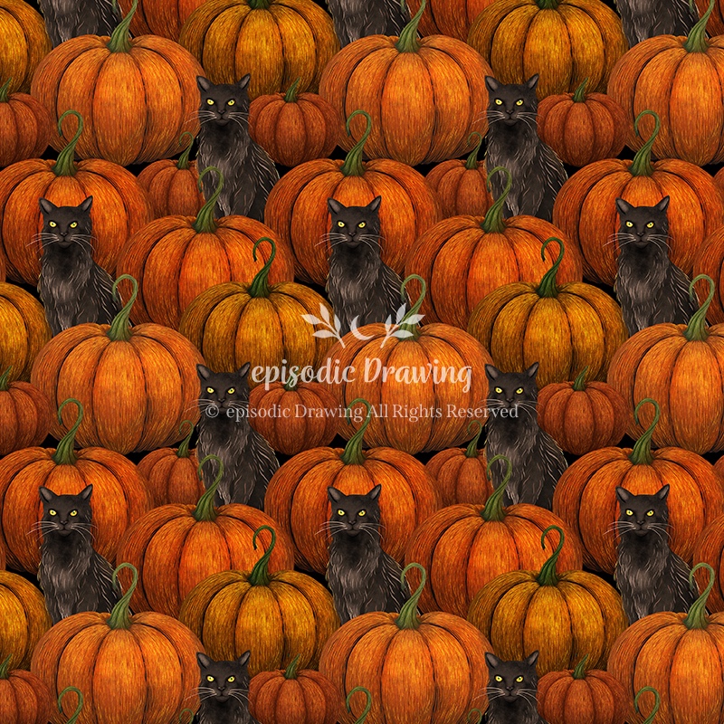 Pumpkin and Black Cat Pattern