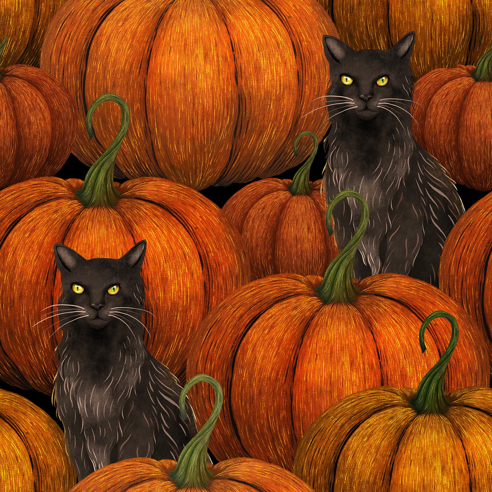 Pumpkin and Black Cat Pattern