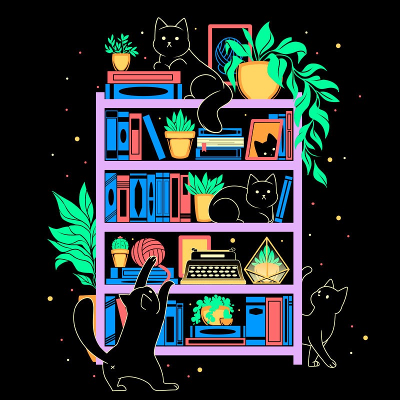 Rainbow Bookshelf Cats