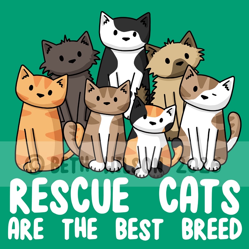 Rescue Cats are the Best Breed