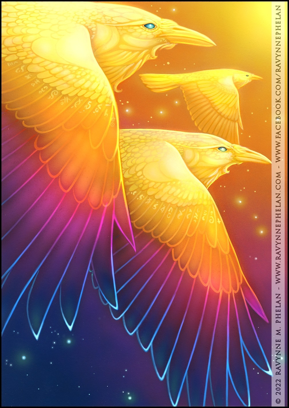 FLY THROUGH RAINBOWS