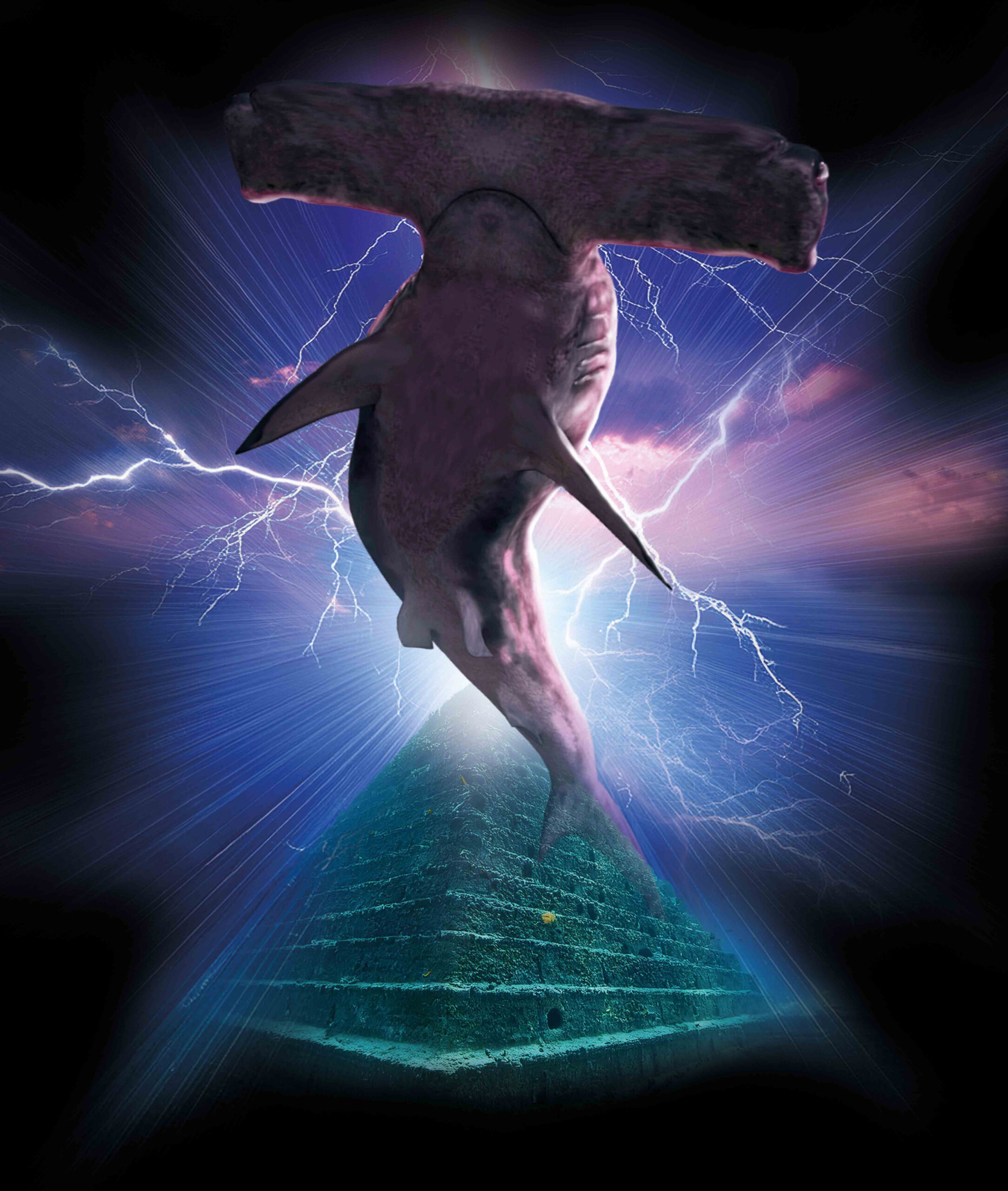 Hammerhead Shark – Electric