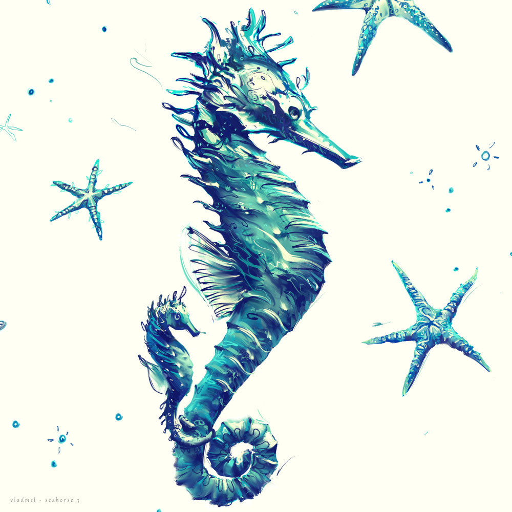 Seahorse 3