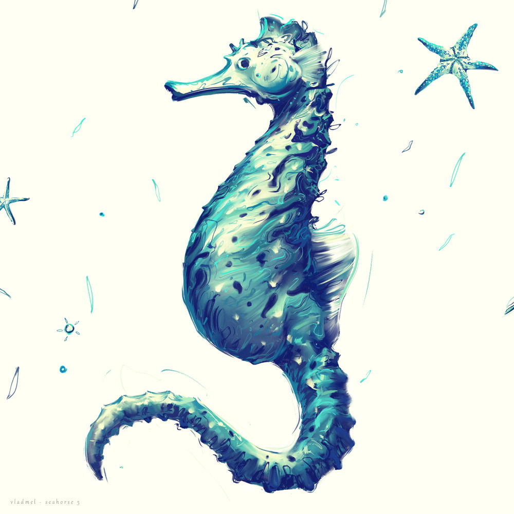 Seahorse 5