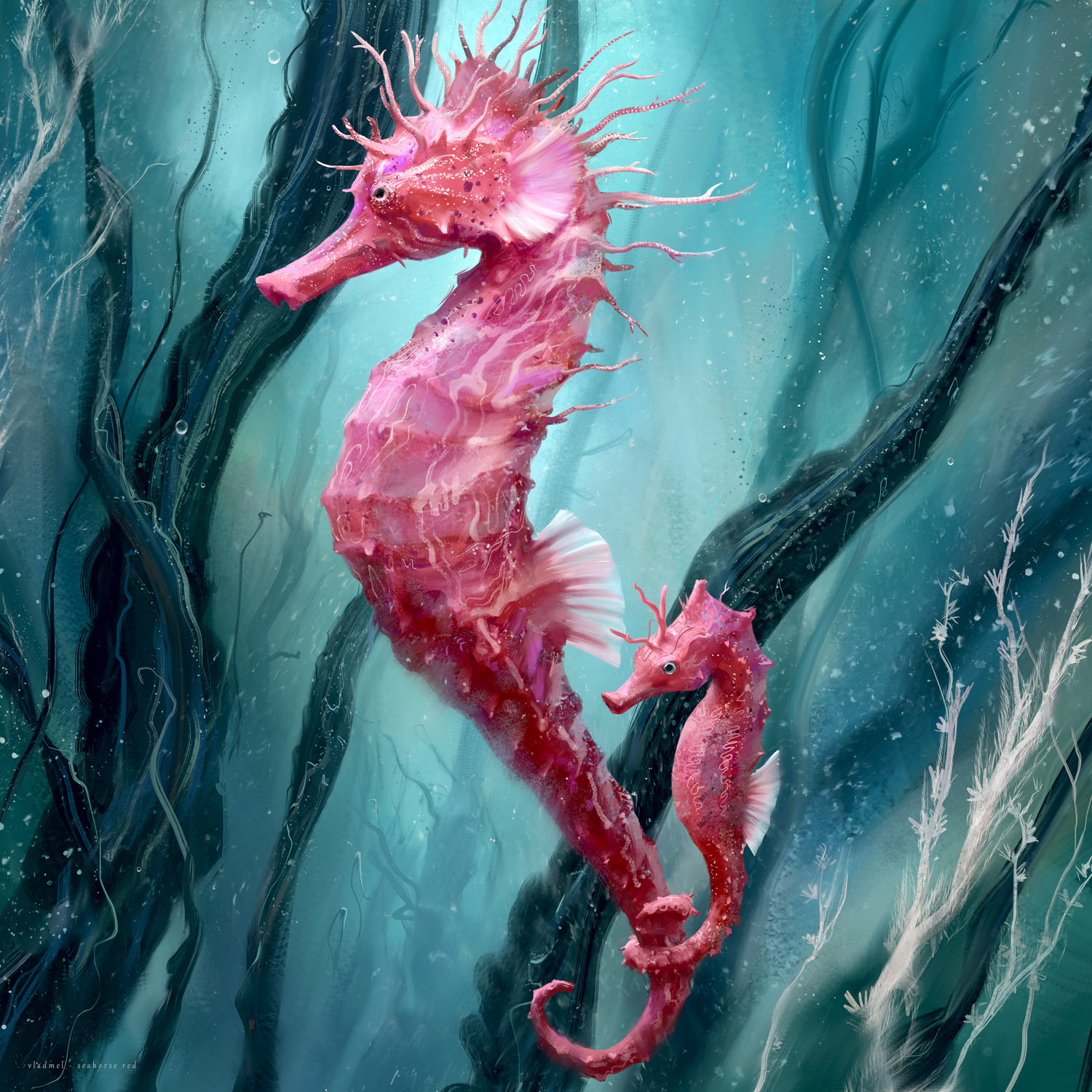 Seahorse red