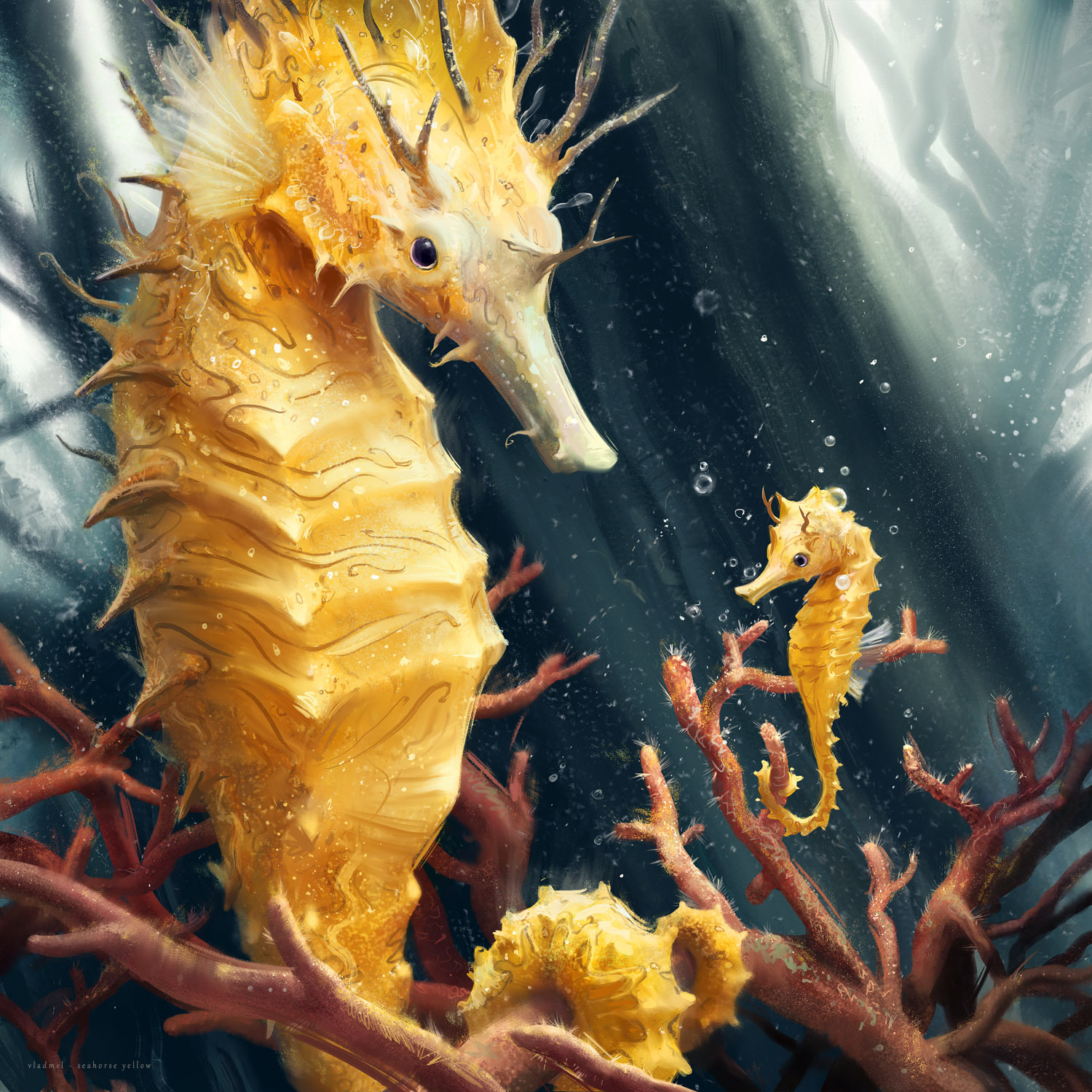 Seahorse yellow