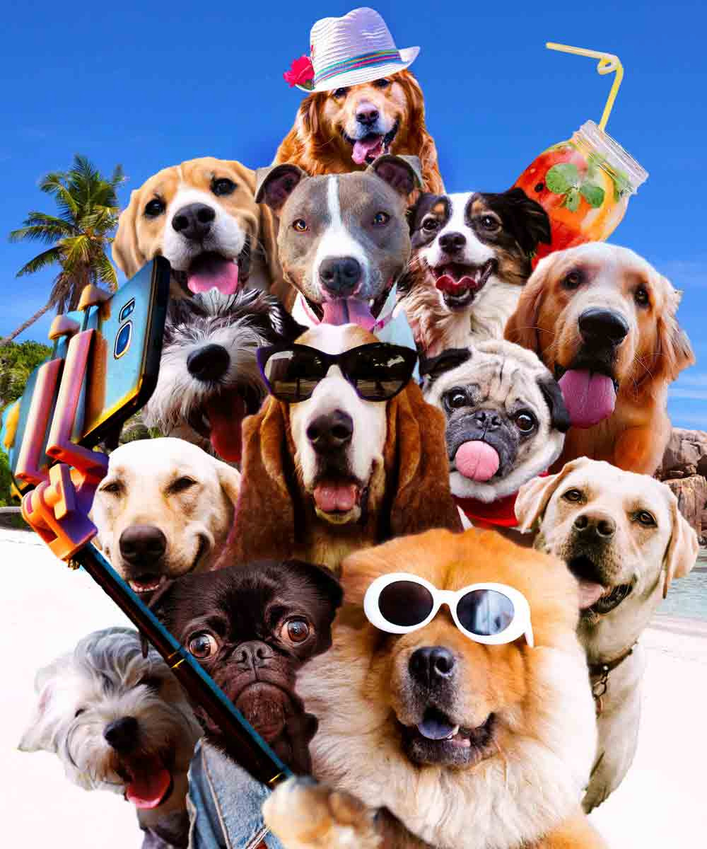 Beach Day Dog Selfie