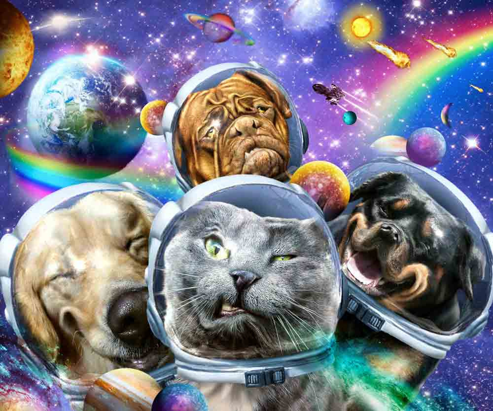 Space Explorer Selfie