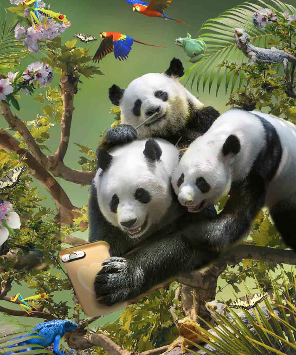 Panda Family Selfie
