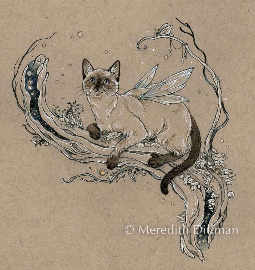 Siamese Fairy Cat