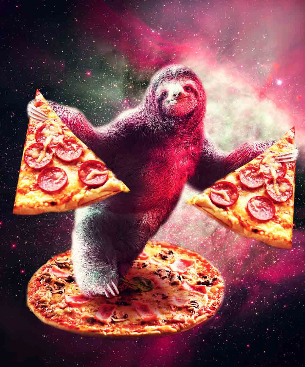 Cosmic Pizza Sloth