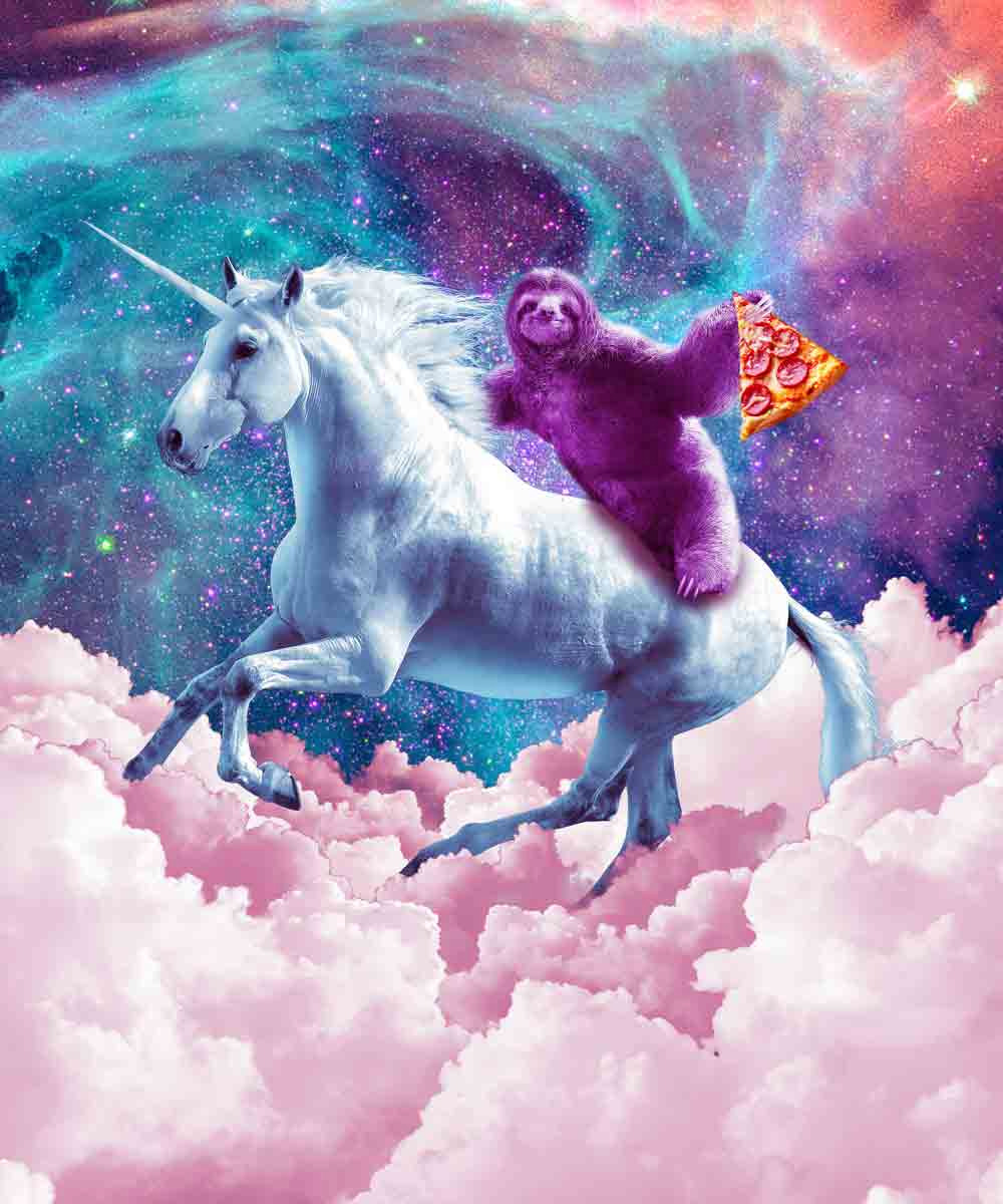 Sloth’s Magical Ride