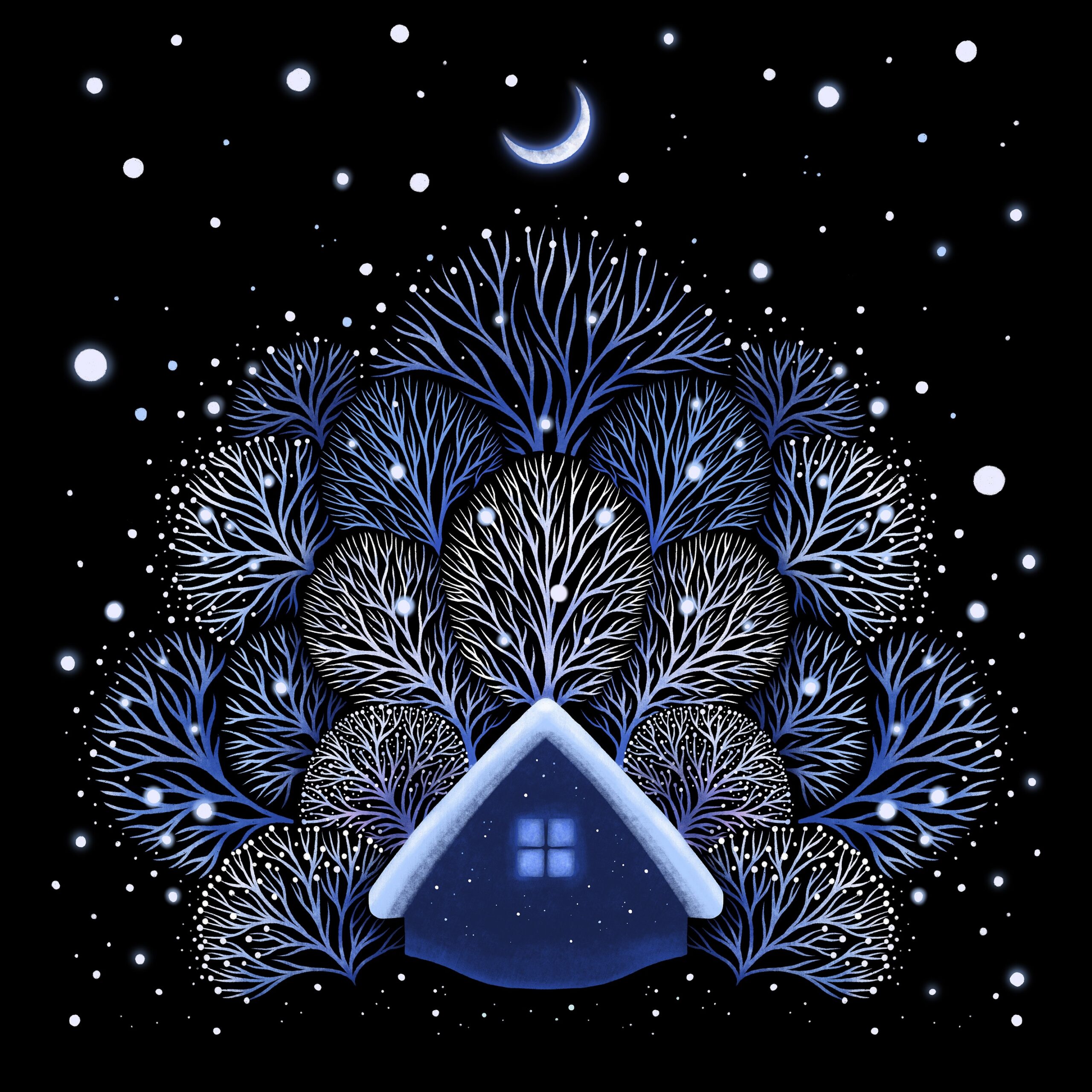 Tiny House – Snowy Night