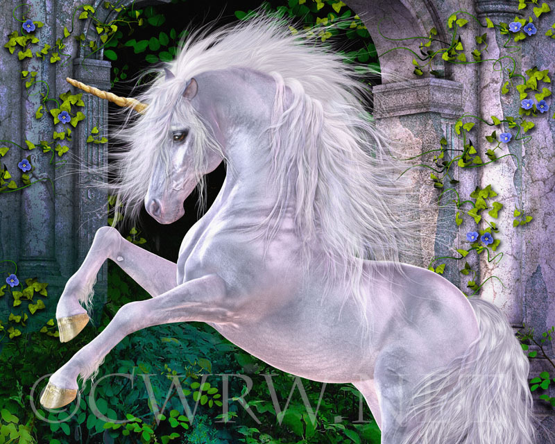 Some Enchanted Evening