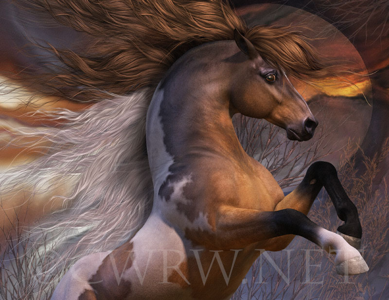 Spirit Of the Wild