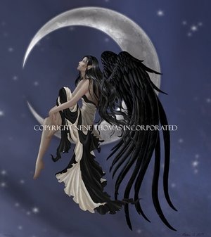 stargazer
