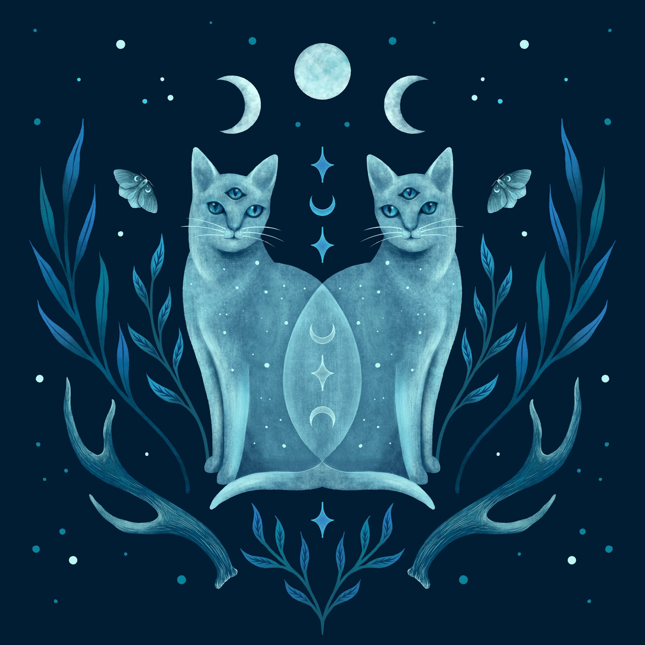 Symmetrical Two Cats