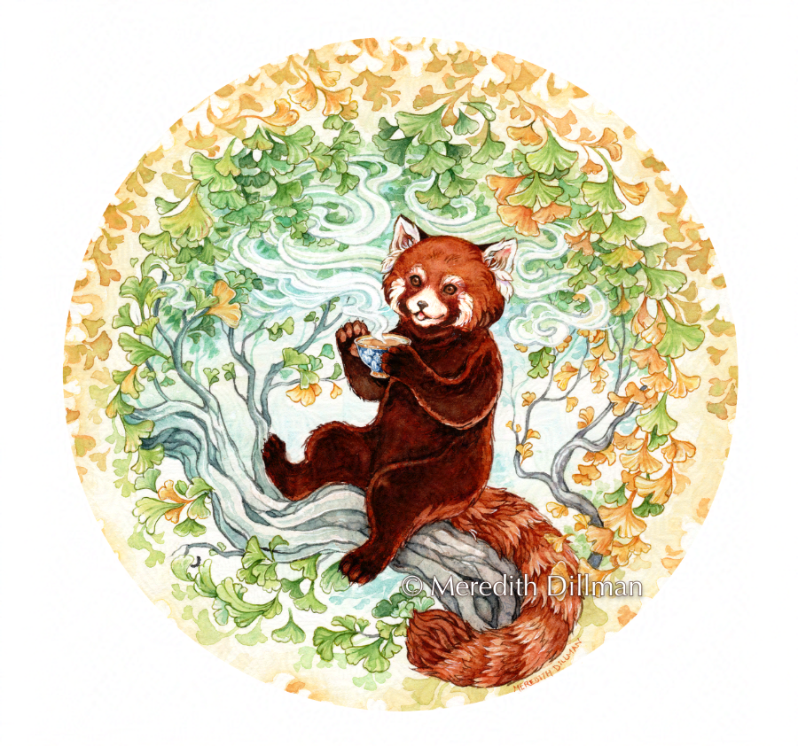 Red Panda with Tea