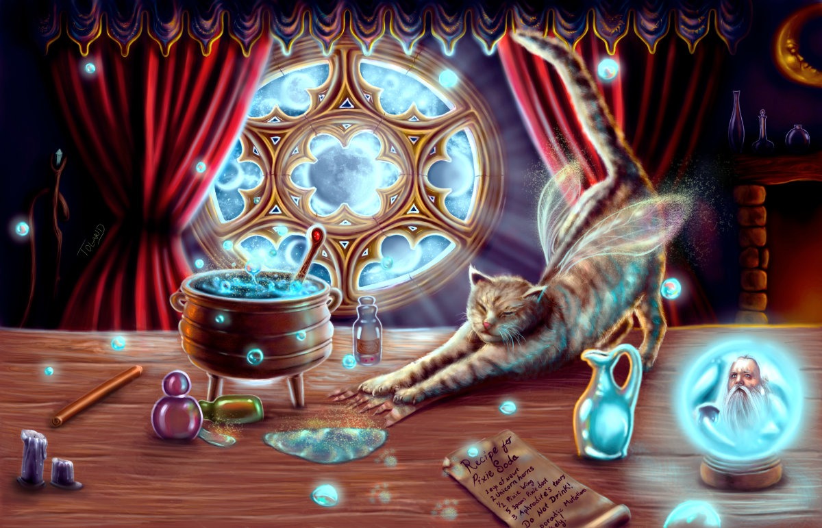 The Apothecary’s Cat