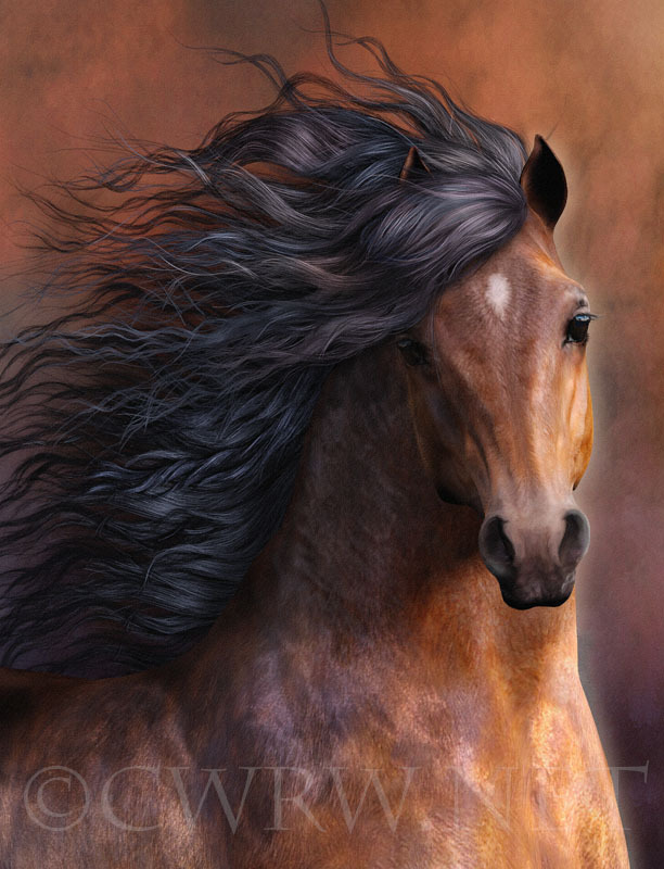 The Morgan Horse