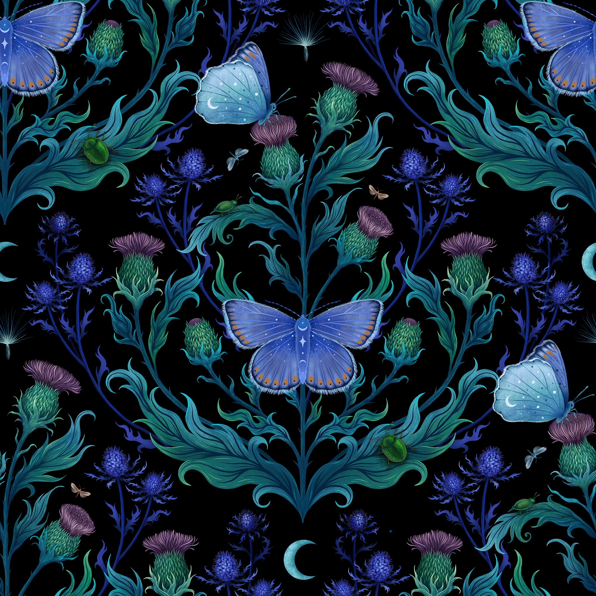 Blue Thistle home PT