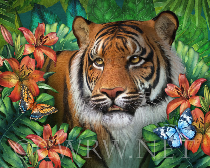 Tiger Lily