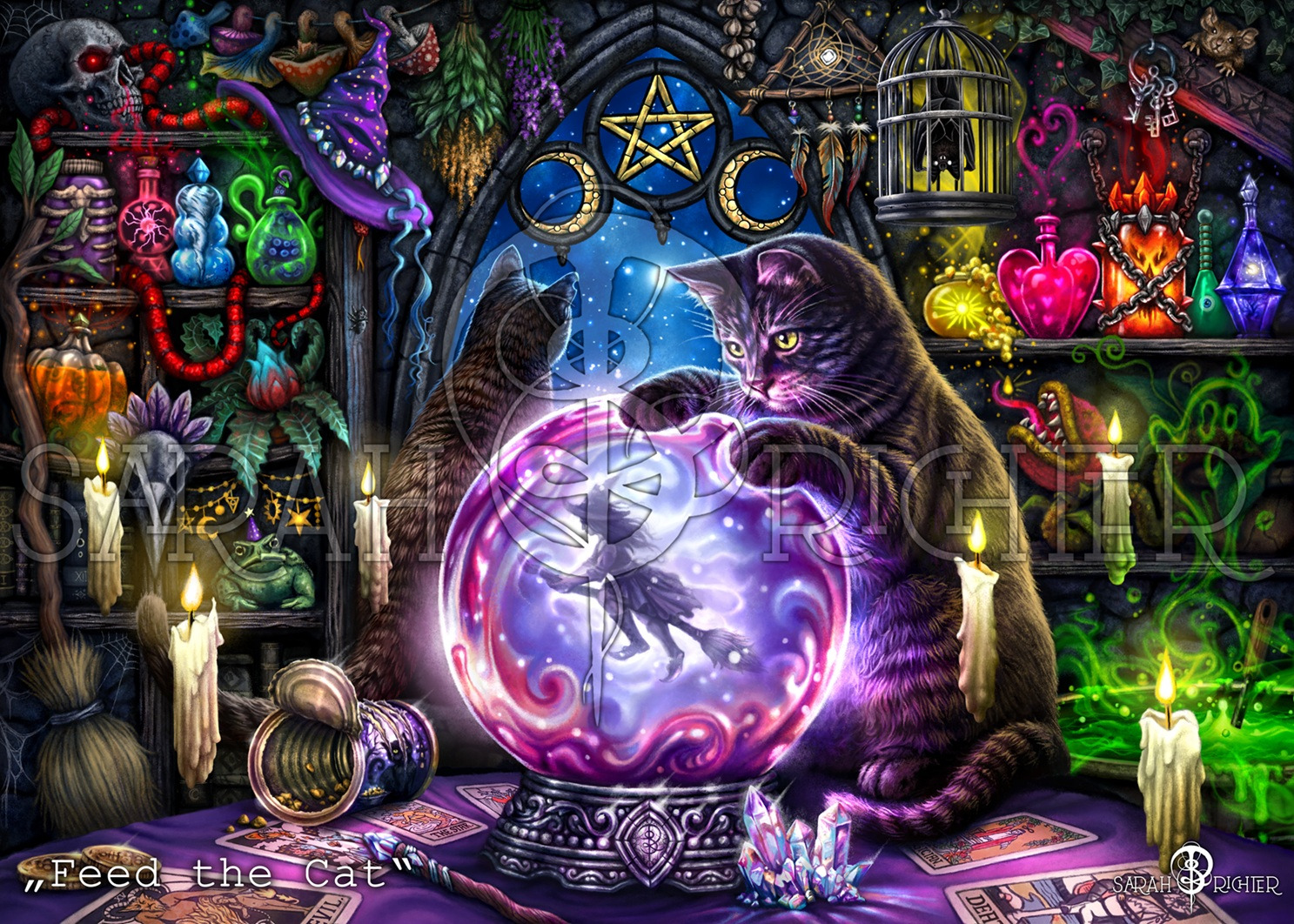 Time to feed the Cat