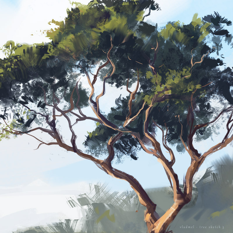 Tree sketch