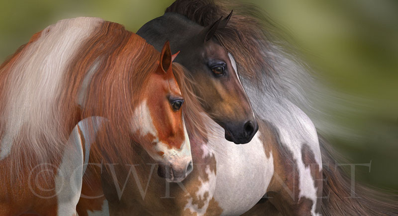 Two Hearts