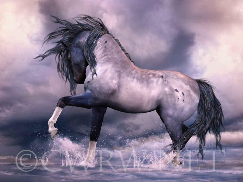 Untamed Spirit