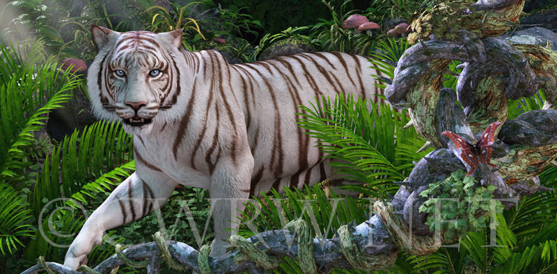 White Tiger Stalk