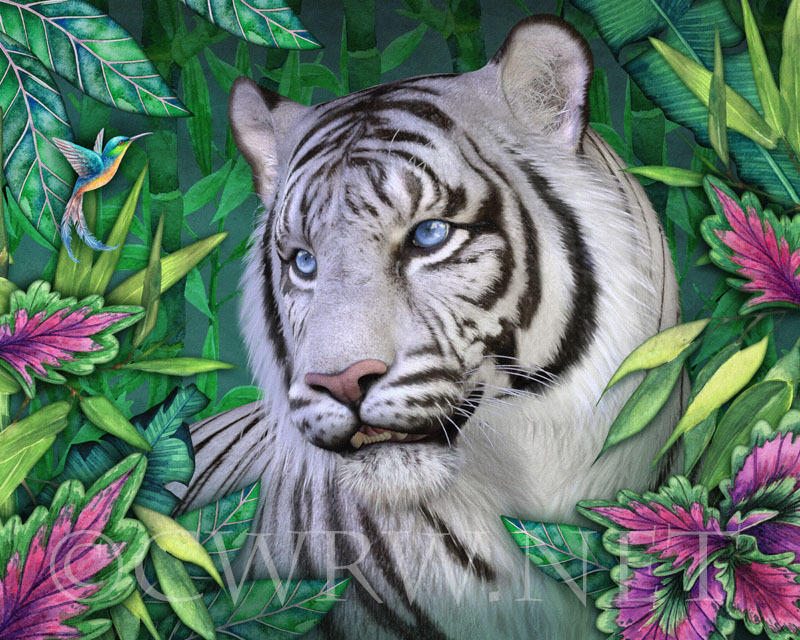 White Tiger