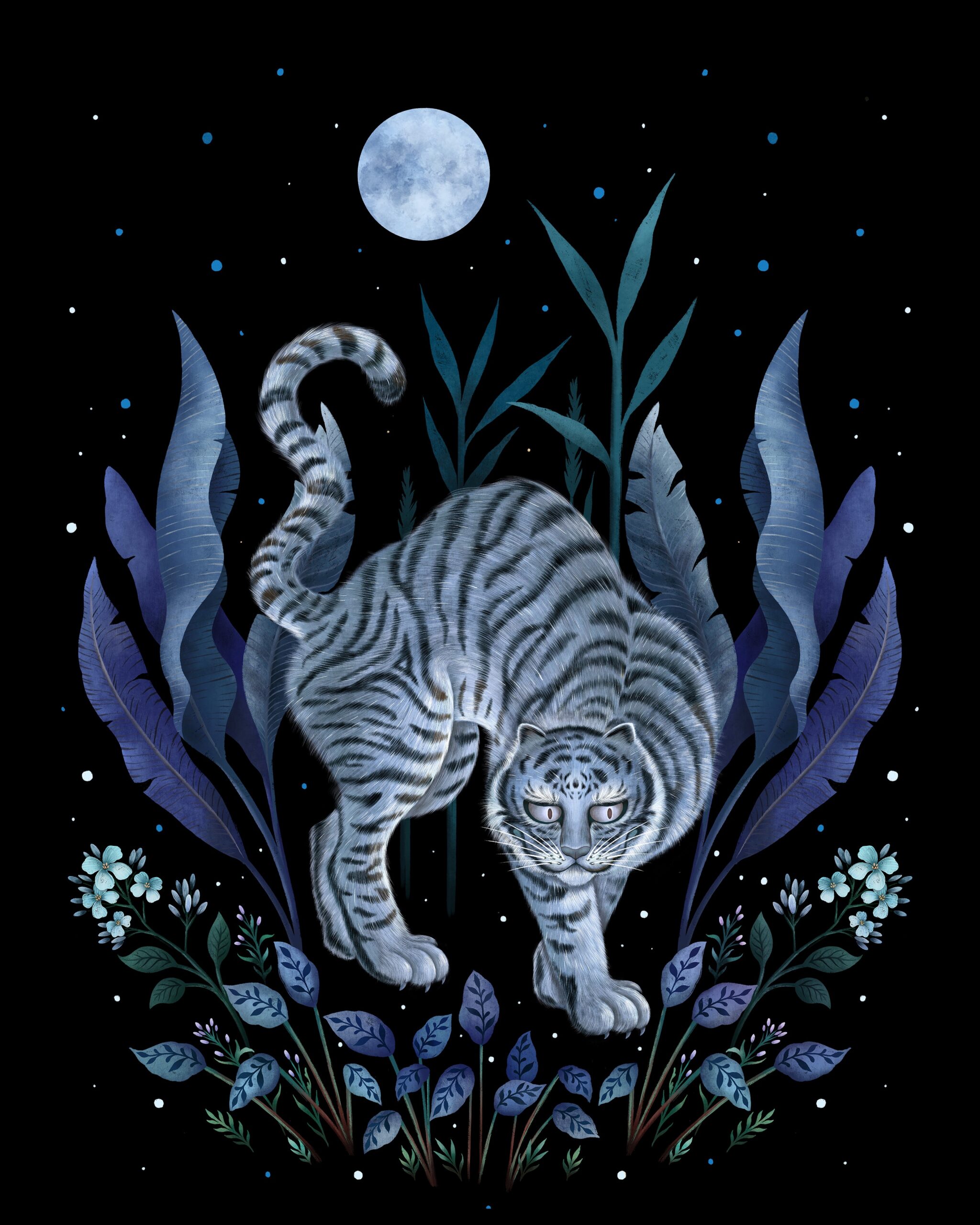 Year of the Tiger – Blue Night